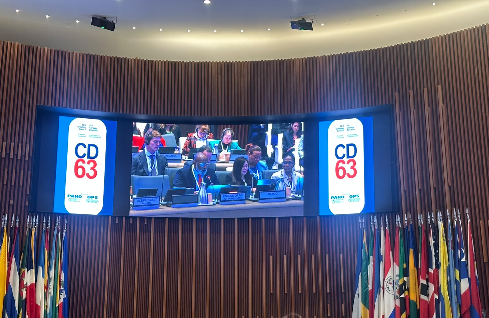 MinVSA at PAHO Distr pix1 wed30