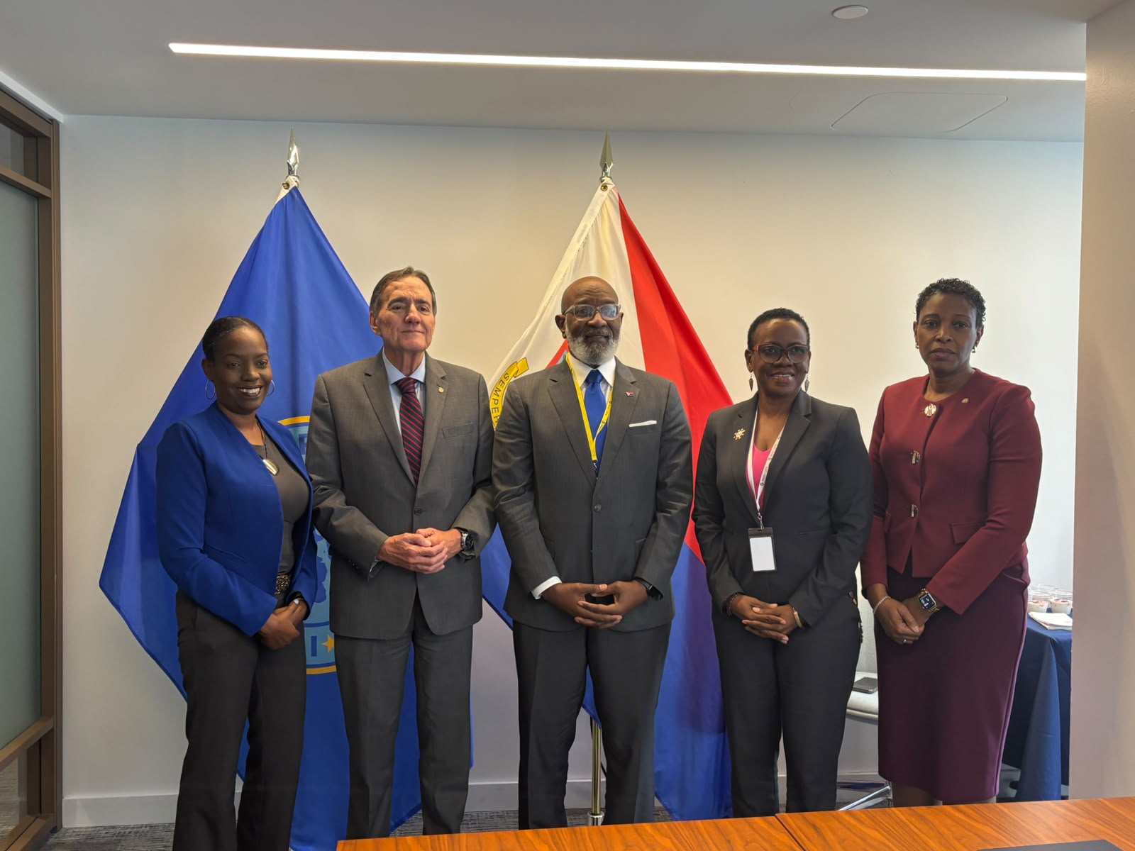 MinVSA at PAHO Distr pix2 wed30