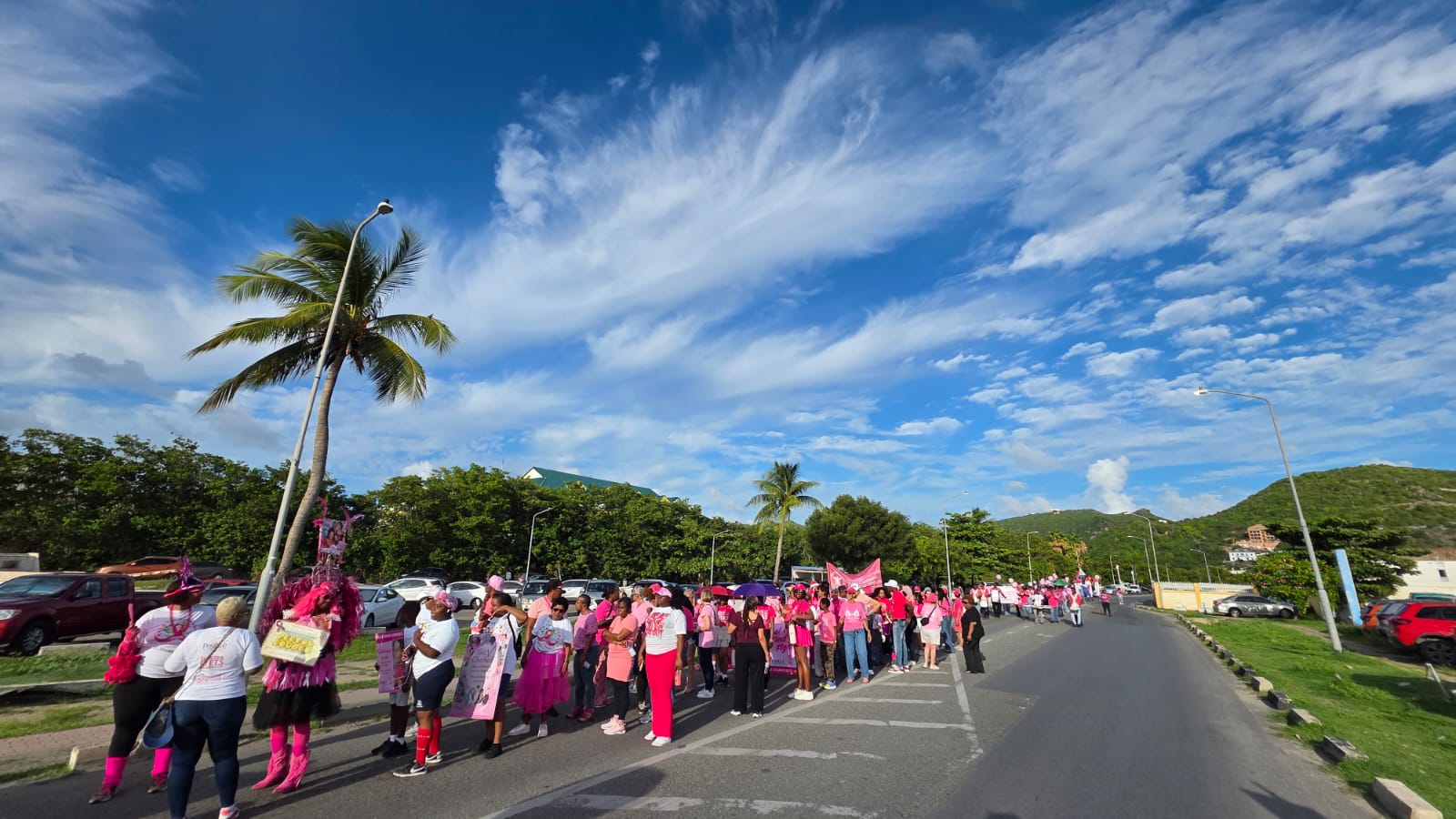 Pink Parade 1